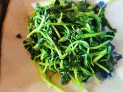 -左陕右甘(亚运村店)