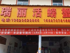 -瑞丽活螃蟹(芒市店)
