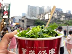 -黑色经典臭豆腐·湖南特产(坡子街店)
