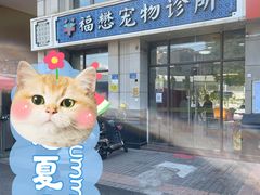 -福懋动物医院·犬猫全科·外科·重症科(杏林分院)