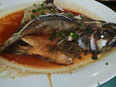 -巽寮印象美食部落餐厅·海鲜·地方特色菜(惠州体验店)