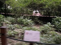 -仁和公园(顺义区)