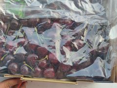 -西郊国际农产品交易中心