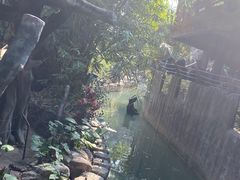 -长鹿旅游休博园