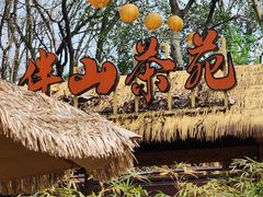 -伴山茶苑·围炉煮茶