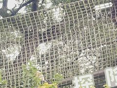 -杭州宋城