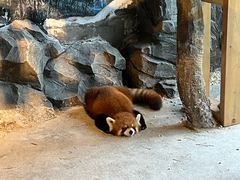 -绿色星球动物主题公园