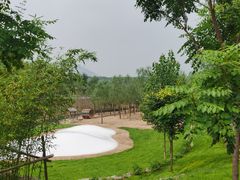 -西部长青自然儿童乐园