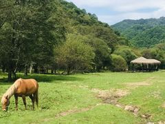 -大水川景区