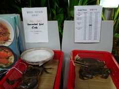 -龙海鲜螃蟹王(宏茂桥店)