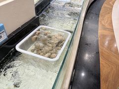 -苏州吴中白金汉爵大酒店