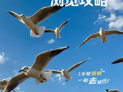 -月亮湾湿地公园