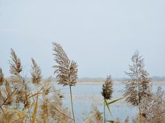 -野鸭湖国家湿地公园