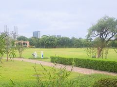 -顺峰山公园
