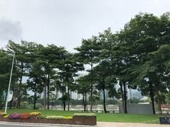 -二沙岛艺术公园