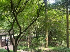 -黄公望隐居地