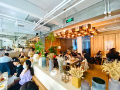 -the rug 飞毯 (朝阳公园店)