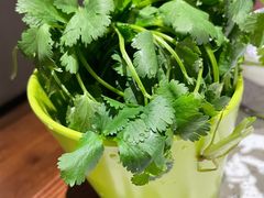 -九府羊·鲜羊火锅·烤串(新华路店)