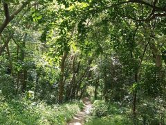 -阳台山自然风景区