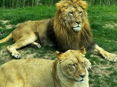 -北京野生动物园