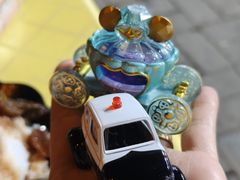 -中环花鸟鱼虫市场