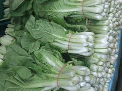 -西郊国际农产品交易中心