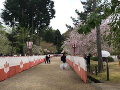 -醍醐寺
