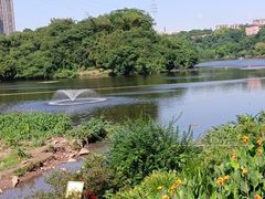 -重庆彩云湖湿地公园