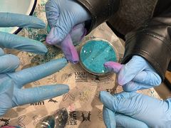 -LUSH(威尼斯人店)