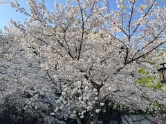 -苏州上方山国家森林公园