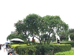 -青澳湾北回归线广场