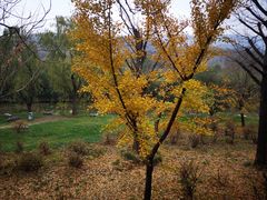 -嵩山少林文化旅游景区