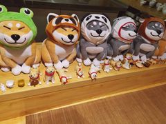 -柴务处·柴犬主题狗咖