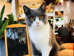 -花十悦·鲜花咖啡餐厅(振业城一期店)