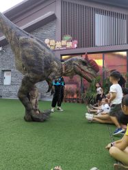 -恐龙探索乐园(磁器口店)