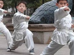 -武术世家少儿培训中心(首都体育学院店)