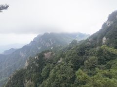-王顺山国家森林公园