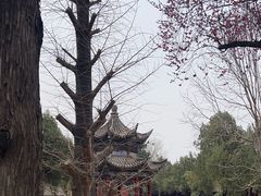 -洛阳白马寺