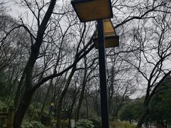 -南京珍珠泉风景区