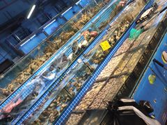 -渔人湾码头海鲜市场负二楼