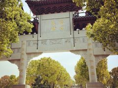 -南汇桃花村