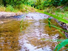 -白水寺森林公园