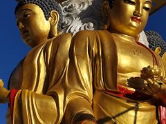 -长虫山生态公园风景林