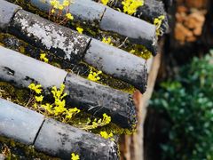 -田德能咖啡博物馆