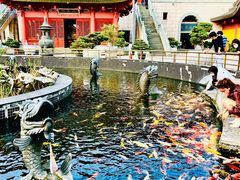 -上海东林寺(金山区)