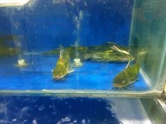 -瑞尔福超市(明珠广场店)