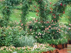 -点都德(广州白云山景区南门店)