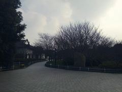 -范蠡湖公园