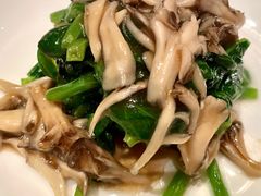 舞茸菇豆苗-福1015(愚园路店)