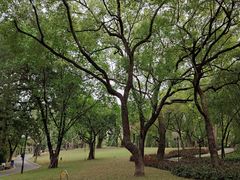 -晓港公园
